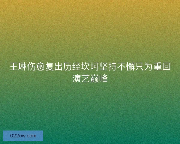 王琳伤愈复出历经坎坷坚持不懈只为重回演艺巅峰